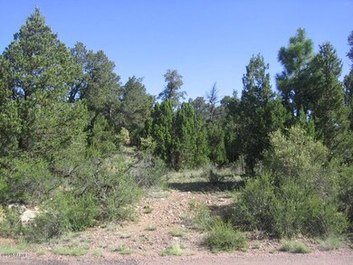 Red Deer Lot  Irene 011
