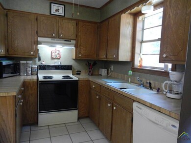 13469 County Road 2216, Tyler, TX 75707 - photo 6