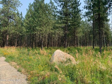 32606 N Sheep Springs Rd, Athol, ID 83801 - photo 2