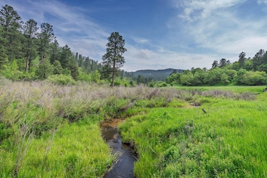 TBD Rocking H Ranch, Hulett, WY 82720 - photo 4