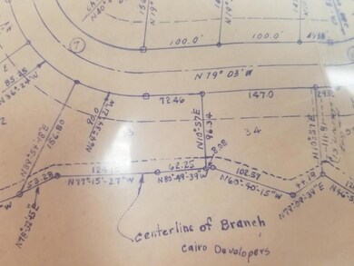 Lot 33 Horseshoe Bend, Cairo, GA 39828 - photo 2