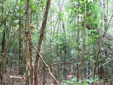 0 Athens Rd, Mendenhall, MS 39114 - photo 5