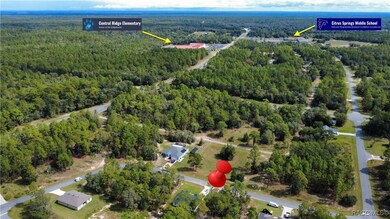 7130 N Glenridge Cir, Citrus Springs, FL 34434 - photo 4