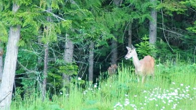 60 Pillick Ridge Ln, Noxon, MT 59853 - photo 6