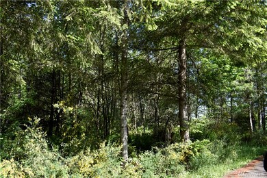 18224 248th Ave E, Orting, WA 98360 - photo 4