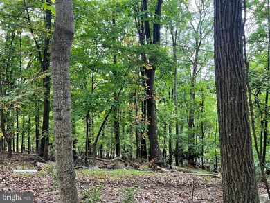 Lot #5 Bridle Path Rd, Front Royal, VA 22630 - photo 6