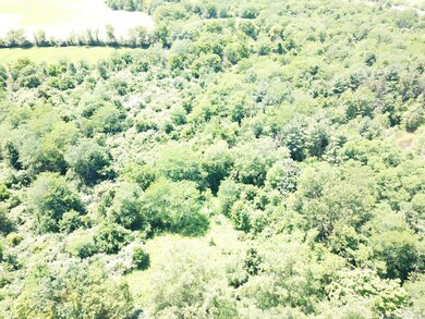 DJI_0991