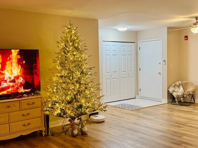 535 S Cleveland Ave unit 101, Arlington Heights, IL 60005 - photo 3