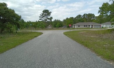 9000 N Lansen Way, Citrus Springs, FL 34433 - photo 2