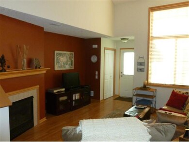 Fireplace and entertainment area.
