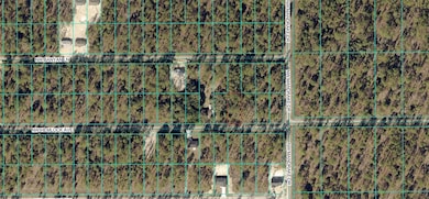 TBD NW Hemlock Ave, Dunnellon, FL 34431 - photo 3