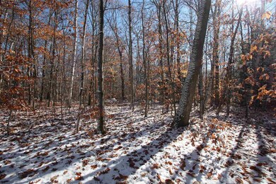 15 Deep Woods Cir unit Lot 15, Winhall, VT 05255 - photo 6