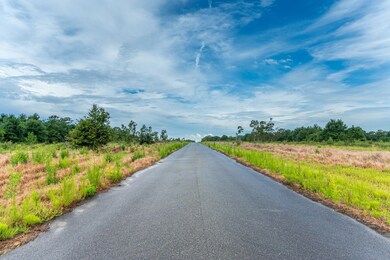 14-web-or-mls-Long Branch Farms Parcel-3