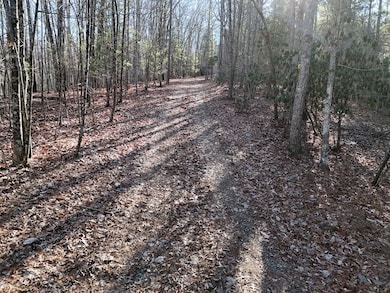 Tract D Carriage Ln, Blairsville, GA 30512 - photo 4