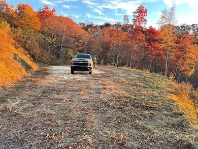 Lot 30 Alarka Highlands Dr, Bryson City, NC 28713 - photo 5