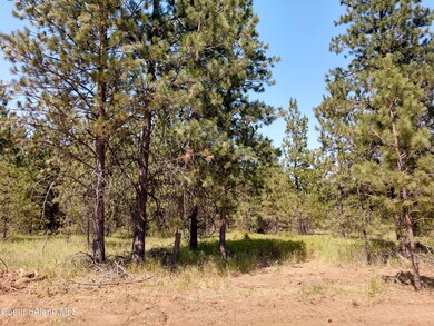 L4B1 N Sheep Springs Rd, Athol, ID 83801 - photo 6