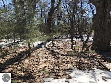 N/A E 3rd St, Au Gres, MI 48703 - photo 3