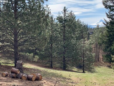 0 Mt View Rd unit 22356620, Lyle, WA 98635 - photo 3