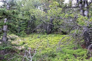 00 Fs-411 1, Black Hawk, CO 80422 - photo 3