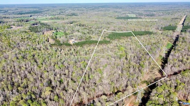 0 Owens Creek Rd unit 663057, Mineral, VA 23117 - photo 3