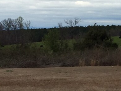 Back yard with pasture behind it