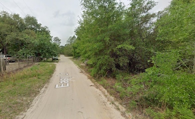 113 Easy Ln, Satsuma, FL 32189 - photo 2