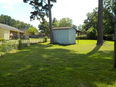 back yard 2