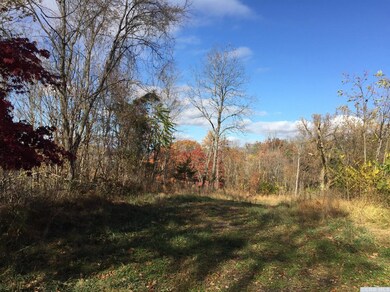 358 Flats Rd, Athens, NY 12015 - photo 5