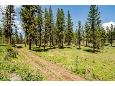 23324 Highway 395, Mount Vernon, OR 97865 - photo 6