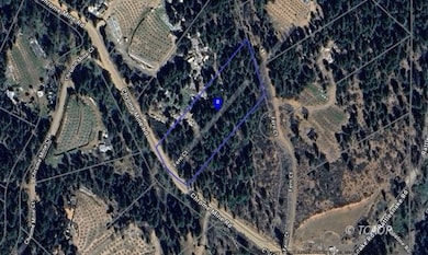 920 Chrome Mine, Hayfork, CA 96041 - photo 2