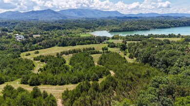 1430 Swannsylvania Rd, Dandridge, TN 37725 - photo 6