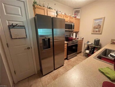 609 Aqua Marine Blvd, Avon Lake, OH 44012 - photo 4