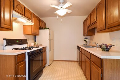 302 Newport Ln unit A1, Bartlett, IL 60103 - photo 5