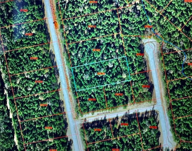 11-29-30 Grey Feather Rd, Huntsville, TX 77340 - photo 2