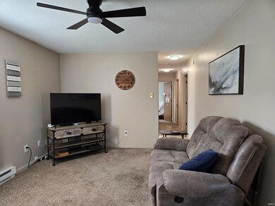 585 Meadow Ln, Waterloo, IN 46793 - photo 3