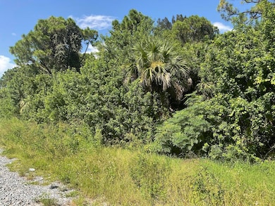 520 Arabella Ln, Port Saint John, FL 32927 - photo 2