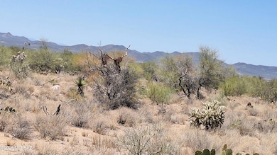 14465 S Ezra Place unit 358, Three Points, AZ 85736 - photo 5