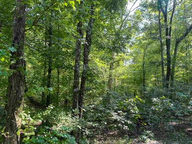 1 Treece Ln, Adamsville, TN 38310 - photo 4