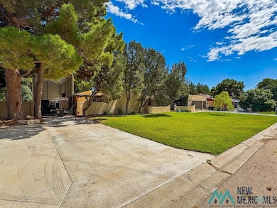 1412 Doepp Dr, Carlsbad, NM 88220 - photo 4