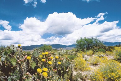 Spring Desert