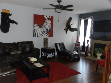 Photo 5