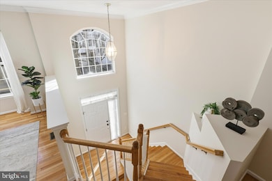 4126 Grover Glen Ct, Fairfax, VA 22030 - photo 4