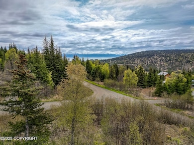 Kachemak Communications - Sarah Richards