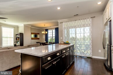 23305 Milltown Knoll Square unit 101, Ashburn, VA 20148 - photo 7