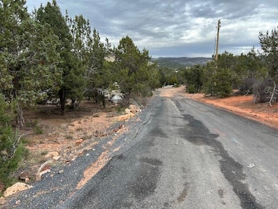 158 N Red Hill Rd, Central, UT 84722 - photo 5