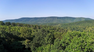 0 Mount Calvary Church Rd, Stuart, VA 24171 - photo 4