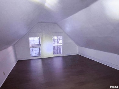 230 E Chestnut St, Canton, IL 61520 - photo 5