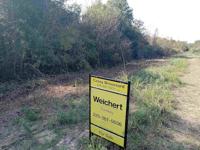 0 Rue Orleans Rd, Holden, LA 70744 - photo 2