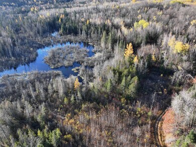 0 Roberts Lake Rd unit 11616225, Laona, WI 54541 - photo 5