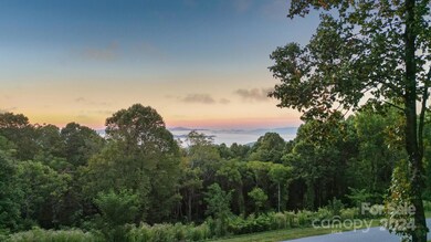 158 Laurel Ledge Way unit 28, Fletcher, NC 28732 - photo 2